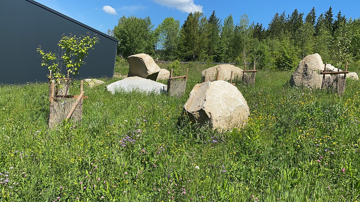 Kuchler Gruppe Bienenwiese auf Betriebsgelände in Teisnach